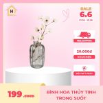 Bình Hoa Thủy Tinh Trong Suốt