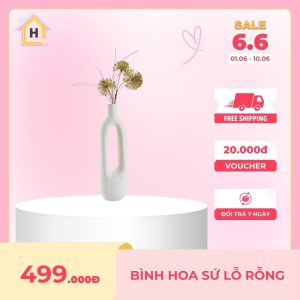 Bình Hoa Sứ Lỗ Rỗng